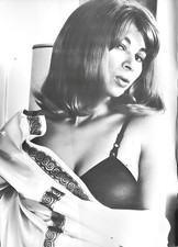 MICHELLE ANGELO #22 - 8.5x11 Vintage Pin-up - follow link below for adult prints picture