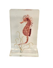 3D Laser Engraved Pink Sea Horse Lucite Acrylic hand painted with sea grass 3x6