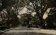 Elm tree Hale Street Beverly Massachusetts ~ postcard sku917 picture