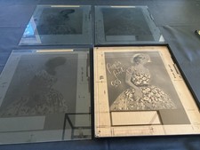 Vintage Fashion Advertising Photo Negatives 14x17 Poppies in Print Lot of 4 picture