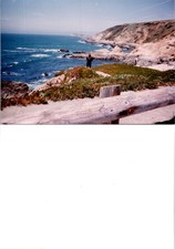 Overlooking the Pacific coast of Bodega Bay CA sign Found Photo V1200 picture