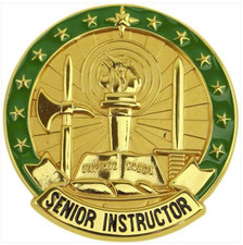 Vanguard ARMY IDENTIFICATION BADGE: SENIOR INSTRUCTOR - GOLD picture
