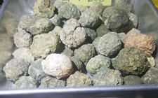1960s-1990s Old Stock 2lb Lot Thundereggs 25-35 Oregon Rough Ochocos Agate Geode picture
