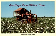 Milan, Tennessee - Mechanical Cotton Picker Postcard picture