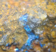 Clinoclase; Majuba Hill, Pershing Co., Nevada, USA; Beautiful Crystals 0.9 cm picture