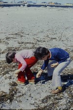 c1970's 35mm Slide, Children Beachcombing, Rocky Seashore beach mid 1970s Car picture