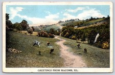 Antique Illinois Postcard MACOMB Rural Scene Cows Hillside 1920 picture