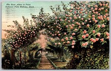 Antique Postcard Rose Arbor Point Defiance Park Tacoma Washington picture