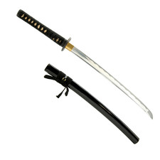 Geometric Wakizashi Iaito Aluminum Alloy Unsharpened Iaido Training Sword picture