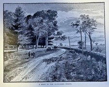 1890 Kentucky Blue Grass Lincoln County Frankfort Lexington picture