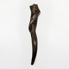 Eland Horn Shofar XL 18”-26” New Kosher  From USA picture