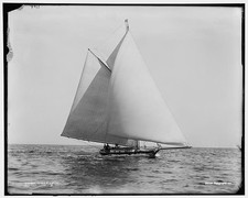 Photo:Chieftain Sailboat at Sea c1890 picture