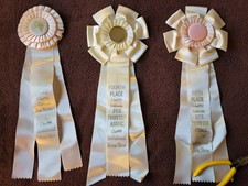 CA Fox Trotters Assn. Invitational Horse Show Ribbons Awards Equestrian Events picture