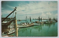 1960 Key West Florida Shrimp Fleet Boats Harbor Postcard CHOKOLOSKEE FL picture