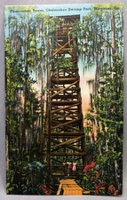 1940s OKEFENOKEE SWAMP Observation Tower WAYCROSS Georgia Postcard Vintage Linen picture
