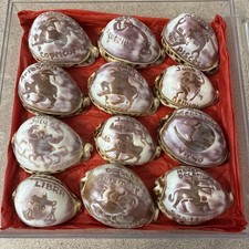 Vintage Set of 12 Carved Zodiac Cowrie Shells Paperweight Beach Decor picture