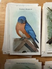 1938 Church & Dwight Useful Birds of America Complete Set 15 Cards 9th Series picture