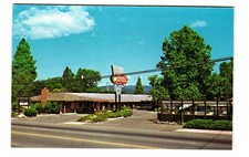Lark Motel WILLITS California vintage postcard unposted picture