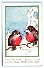1921 Antique Christmas Postcard Robins in Snow Whitney Made Skaneateles NY picture