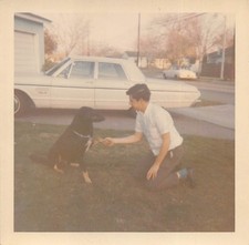 1966 Young Man Shaking Hands Doberman Puppy Dog 1960s Photo Plymouth Fury Grass picture