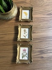 Vintage Framed Botanical Art Set Of 3 Faux Wood Ornate Gold Frames Floral Art picture