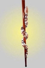Hand-Carved Wooden Walking Stick with Realistic Snake Design – Unique Cane 36 In picture