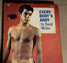EVERYBODY’S ANDY -1971 DAVID WILDER PARISIAN PRESS VTG PULP NOVEL GAY INTEREST picture