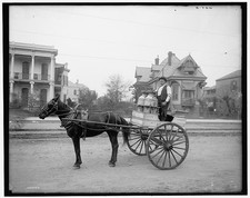 Photo:New Orleans Louisiana Milk Cart Wagon Dairying Houses 1900s picture