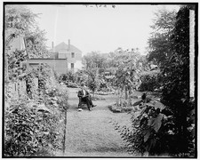 Detroit Mich 1905 1915 Garden at 124 E Euclid Ave man seated in garden picture