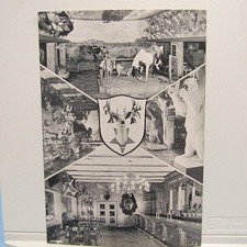 Texas Beer LONE STAR BREWING Lrg Advertising Postcard Buckhorn Hall Horn Vintage picture