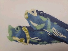 Handcrafted Chiriwashi PaperCollage Fish GoldTrim On ShikishiBoard Circa 1960-70 picture