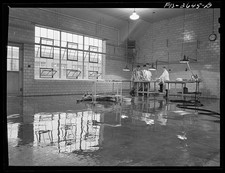 Photo:Ames Iowa 1942 Veterinary School Postmortem Room Iowa State College picture
