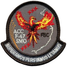 USAF AIR COMBAT COMMAND F-47 SYSTEMS MANAGEMENT OFFICE PATCH picture