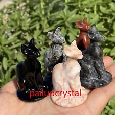 5pcs Natural Mixed Hairless Cat Quartz Crystal Skull Carved Figurines Reiki 2