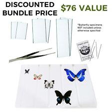 BicBugs pinning kit - 3x glass slides, spreading board, forceps, 100 pins picture