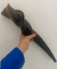 Huge Polished  Eland Horn Shofar  20'' (50cm) Kosher From Israel   BEST PRICE picture