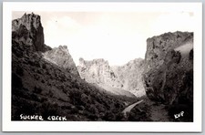 RPPC Sucker Creek near Waldo OR Canyon Road Real Photo Postcard KUP picture