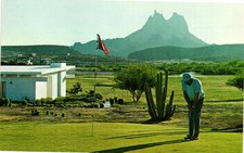 Vintage Postcard- GOLF COURSE, LA PASADA DE SAN CARLOS, NUEVO GUAYMAS, SONORA, M picture