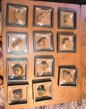Stony Iron Meteorites Collection Moroccan 11 available , $200 each picture