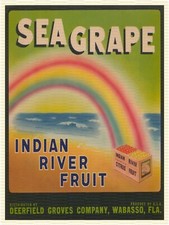 Sea Grape Brand Florida Fruit Label 9