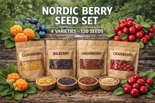 Nordic Berry 130 Seeds Collection | Cloudberry, Lingonberry, Cranberry, Bilberry picture