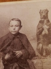 Antique 1890s Cabinet Card Photo Boy with Trained Trick Dog Performing Rogers VA picture