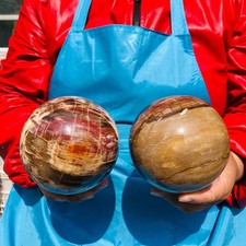 2PCS 6.29 LB Natural Petrified Wood Agate Sphere Crystal Healing Specimen 4097 picture