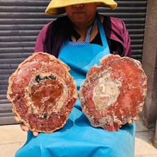 7.96LB 2Pcs Natural Petrified Wood Crystal Fossil Slice Shape Specimen Healing picture