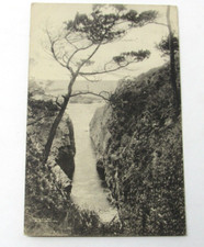 Carmel California 1921 RPPC Postcard Photographer L.S. Blevin, Monterey County picture