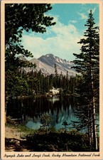 Nymph Lake Long's Peak Rocky Mtn National Park CO Vintage Postcard picture