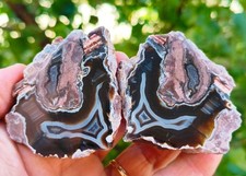 Mirror Polished White Lace Thunderegg Agate Pair picture