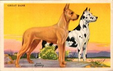 Great Danes Dog Card Educational Pictures Jack Murray Art 1950s Series picture