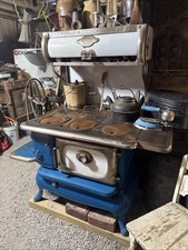 Antique Cast Iron  Buffalo Jewett Co New York Wood Stove Blue Enamel Rare Find picture