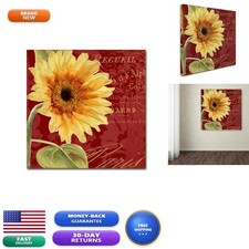Trademark Fine Art ALI4462-C1414GG Ete IV Décor 14x14